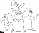 Els pingüins de Madagascar