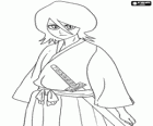 Rukia Kuchiki és una Shinigami amb l'aparença física d'una adolescent