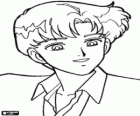 L'atractiu Darien o Mamoru Chiba, un dels protagonistes de Sailor Moon