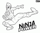 Power Ranger saltant. Power Rangers Ninja Power