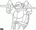Donatello, l'arma d'aquesta tortuga ninja és el llarg bastó japonès Bo