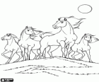 Spirit amb la seva manada de cavalls salvatges