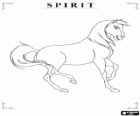 El cavall indomable, Spirit, vist de costat