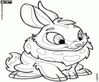 Cybunny, el bonic conillet de Neopets