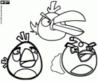 Tres dels ocells de Angry Birds