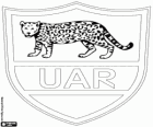 Logo de l'equip nacional de rugbi de l'Argentina, los pumas. L'emblema, el jaguar