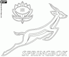 Logo de l'equip nacional de rugbi de Sud-àfrica, els springboks. Emblema, el springbok i la protea