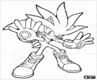 Trencaclosques de Silver the Hedgehog, l'eriçó que ve des del futur
