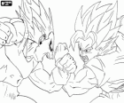 Lluita entre Goku i Vegeta