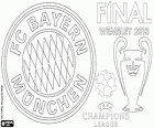 FC Bayern de Munic, campió de la Lliga de Campions de la UEFA 2012–13