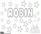 Robin, nom amb diversos orígens i significats. Robin, nom en diversos idiomes