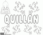 Quillan, nom d'origen gaèlic. Variant de Quillen