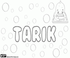 Tarik, nom d'origen àrab. Prové de l'estrella brillant de l'Alcorà, Tariq