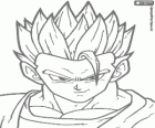 La cara de Gohan Místic, Gohan definitu