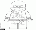 Un guerrer ninja, Lego Ninjago