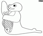La foca Robby amb un peix