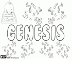 Genesis, nom d'origen hebreu. El seu significat és origen