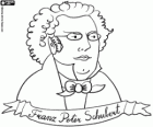 Bust de Franz Peter Schubert. Famós compositor austríac que va néixer el 1797 i va morir el 1828