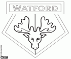 Insígnia de Watford F.C.. Els Hornets