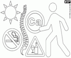 Dia Mundial de l'osteoporosi, 20 d'octubre. Prevenció de l'osteoporosi: calci, sol, exercici físic, no fumar i consum moderat de begudes alcohòliques