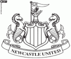 Logo de Newcastle United F.C.. Club de futbol amb seu a Newcastle upon Tyne. També conegut com The Magpies, The Toon i Geordi