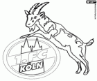 Escut de 1. FC Köln. Club de futbol de la ciutat de Colònia, Renània del Nord-Westfàlia