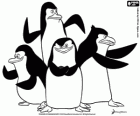 El grup de pingüins preparats per l'acció. Els Pingüins de Madagascar