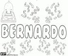 Bernardo, forma llatina del nom germànic Bernhard. El seu significat és fort com un ós. Bernardo, nom masculí en espanyol, portuguès i italià