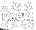 Pascual, fill de nom d'origen llatí. Prové de Paschalis, el significat és relatiu a Pasqua