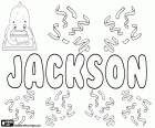 Jackson, nom de nen d'origen anglès. Prové del cognom Jackson, que significa el fill de Jack