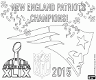 New England Patriots, Campions de la Super Bowl 2015. El resultat final del joc contra Seattle Seahawks ha estat 28-24. El quarterback Tom Brady ha estat nomenat MVP de la final