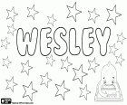 Wesley, nom d'origen anglès, amb origen diferents. Forma curta del nom Wesleydale