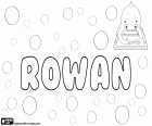 Rowan, nom irlandès i anglès. Rowan, nom de nen que s'utilitza també per a nena