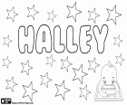 Halley, nom utilitzat tant per nena i nen. Halley, nom amb orígens diferents. Halley, variant de Hallie i Harriet. Halley és també un cognom anglès