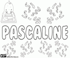 Pascaline, nom francès per nenes. Pascaline, variant de Pascale, forma femenina de Pascal. Tots aquests són els noms que derivats del llatí Paschalis que significa Pasqual, relacionat amb la Pasqua