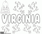 Virginia, nom femení de origen llatí derivat Virginius. Virginia o Verginia, personatge de la mitologia romana