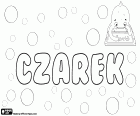 Czarek, variant de Zarek, tots dos són diminutius del nom polonès Cezary, derivat del llatí Caesar