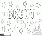 Brent, nom masculí d'origen anglès. Brent, també s'utilitza com un diminutiu de Brenton. Brent, un cognom anglès amb diverses possibles orígens