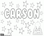 Carson, nom d'origen anglès i escocès, principalment utilitzat com a nom masculí però també s'utilitza per a les dones. Carson, nom que prové del mateix cognom, el seu significat és fill dels habitants d'aiguamolls
