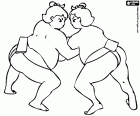 Combat de sumo, un esport de lluita japonès. La zona de combat, amb una forma circular feta d'argila i sorra, es diu dohyō