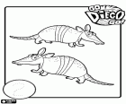 Dos armadillos de Diego per aprendre el número 2