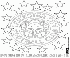 Leicester City FC, campió de la Premier League 2015-2016. L'equip de la ciutat de Leicester, també conegut com "the foxes", les guineus, s'ha proclamat per primera vegada en els seus 132 anys d'història com el campió de la màxima categoria del futbol anglès. Un equip molt compacte i equilibrat que té dos jugadors estrella com Jamie Vardy i Riyad Mahrez. L'entrenador és l'italià Claudio Ranieri
