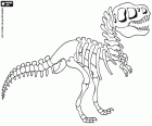 Reconstrucció de l'esquelet d'un dinosaure en un museu. Les restes de l'esquelet d'un animal prehistòric que va ser trobat en excavacions arqueològiques