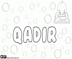 Qadir, nom masculí d'origen àrab, variant de noms com Kadir, Kader, Qader i Ghader entre d'altres
