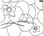Una escena de primavera per acolorir amb dos petits ocells i dues flors