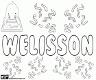 Welisson, nom masculí d'origen desconegut utilitzat a Brasil, variant de Wellisson i Welison
