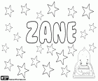 Zane, nom amb diversos orígens en diversos idiomes. Zane, nom d'origen hebreu per nen, variant de Jon. Zane, nom masculí d'origen anglès prové del mateix cognom. Zane, nom femení a Letònia derivat de Zuzana. Zane, noms d'origen àrab per a noi i noia. Zane, cognom italià d'origen venecià medieval