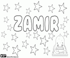 Zamir, nom masculí amb diversos orígens i significats. Zamir, nom utilitzat per nen a Albània, el nom femení és Zamira, el seu significat és dolça veu. Zamir, nom masculí àrab i pakistanès amb un origen persa. Zamir, transliteració d'un nom d'origen hebreu per nen, també és un cognom israelià