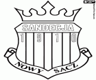 Emblema de Miejski Klub Sportowy Sandecja Nowy Sącz, club de futbol base a Nowy Sącz, ciutat a la confluència dels rius Kamienica i Dunajec, en el sud de Polònia al Voivodat de la Petita Polònia