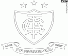 Emblema d'Amèrica Futebol Clube, conegut com América Mineiro, club de futbol amb seu a Belo Horizonte, capital de l'estat de Minas Gerais al sud-est del Brasil